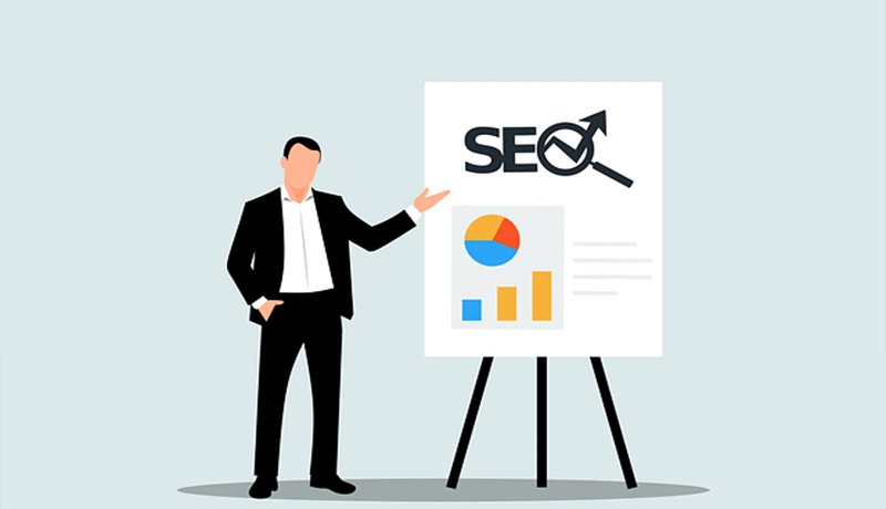 pbns no seo