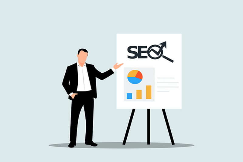 pbns no seo pbns no seo